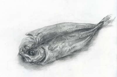 鉛筆デッサン②